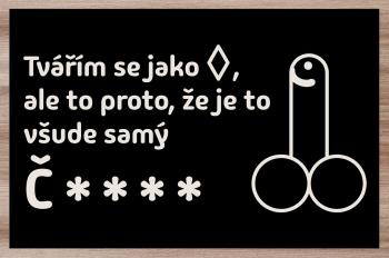 Prostírání Všude samý č****