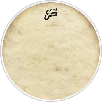 Evans 16" EQ4 Calftone