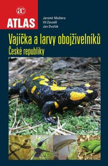 Vajíčka a larvy obojživelníků České republiky - Jan Dvořák, Maštera Jaromír, Vít Zavadil
