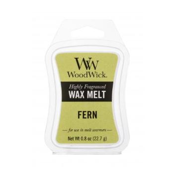 WoodWick Fern 22,7 g vonný vosk unisex