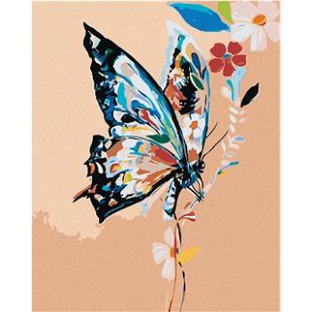 Malování podle čísel - Kytičkový motýl (HRAmal00912nad)