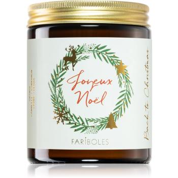 FARIBOLES Back to Joyeux Noël vonná svíčka 140 g