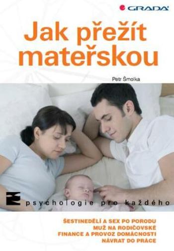 Jak přežít mateřskou - Petr Šmolka - e-kniha