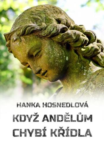 Když andělům chybí křídla - Hanka Hosnedlová - e-kniha