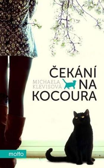 Čekání na kocoura - Klevisová Michaela