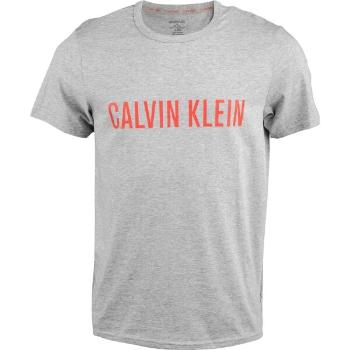 Calvin Klein S/S CREW NECK Pánské tričko, šedá, velikost L