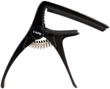 Cascha Capo for Acoustic and Electric Guitar