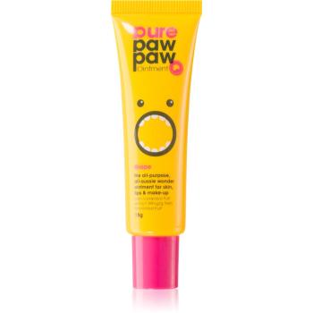 Pure Paw Paw Grape balzám na rty a suchá místa 15 g