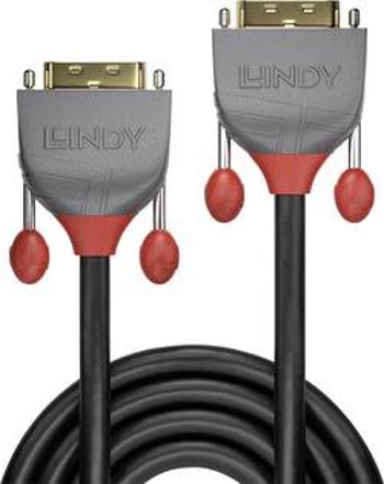 DVI kabel LINDY [1x DVI zástrčka 24+1pólová - 1x DVI zástrčka 24+1pólová] černá 2.00 m