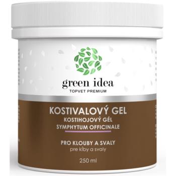 Green Idea Masážní gel Kostivalový masážní gel na svaly a klouby 250 ml