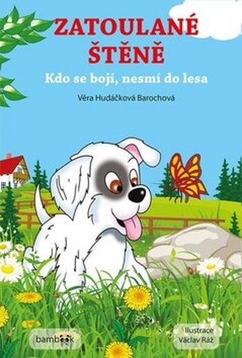 Zatoulané štěně - Kdo se bojí, nesmí do lesa - Václav Ráž, Věra Hudáčková Barochová