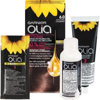 Garnier Olia barva na vlasy odstín 6.0 Light Brown