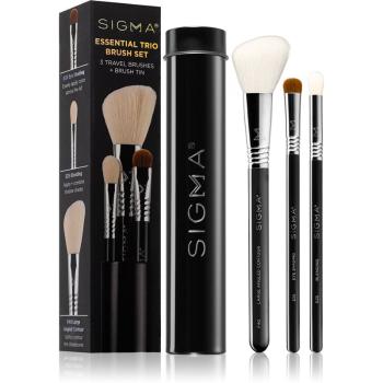 Sigma Beauty Essential Trio Brush Set sada štětců s pouzdrem