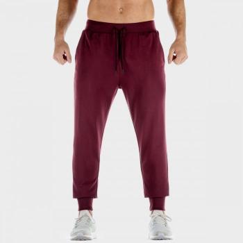 Tepláky Lab 360 Joggers Tawny Port S - SQUATWOLF