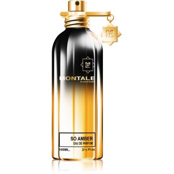 Montale So Amber parfémovaná voda unisex 100 ml