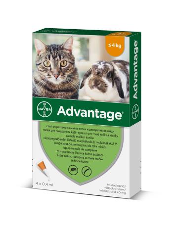 Advantage pro malé kočky a králíky 40 mg spot-on 4x0,4 ml