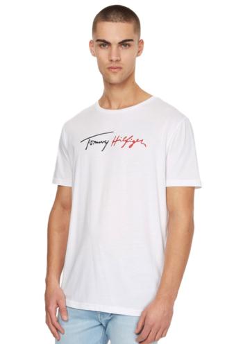 Pánské tričko Tommy Hilfiger UM0UM02513 L Bílá