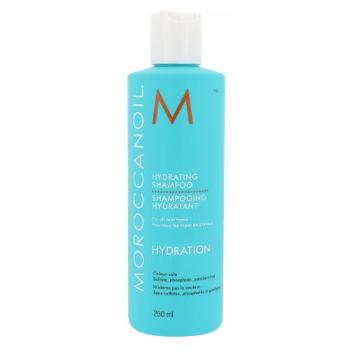 Moroccanoil Hydration 250 ml šampon pro ženy na všechny typy vlasů