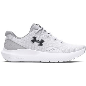 Under Armour CHARGED SURGE 4 Pánská běžecká obuv, šedá, velikost 43