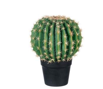 Kaktus v květináči medium - Ø 25*33cm 72009