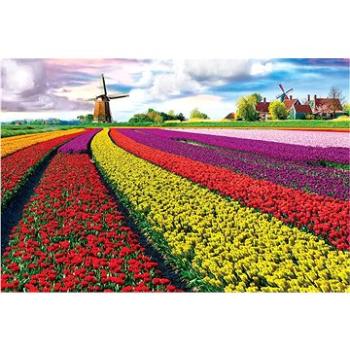 Eurographics Puzzle Pole tulipánů (HDR) 1000 dílků (628136653268)