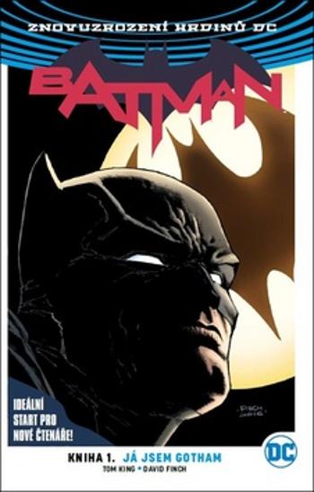 Batman 1 - Já jsem Gotham – Tom King - Finch David