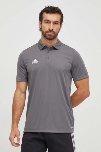 Tréninkové polo tričko adidas Performance Entrada 22 šedá barva, H57486