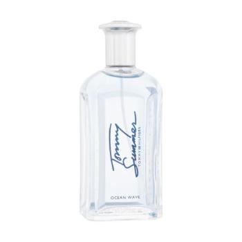 Tommy Hilfiger Tommy Summer Ocean Wave 100 ml toaletní voda pro muže