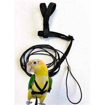 Terra International Kšandy pro papoušky (CHPkv001nad)