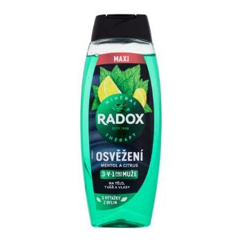 Radox Refreshment Menthol And Citrus 3-in-1 Shower Gel 450 ml sprchový gel pro muže