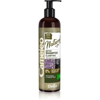 Delia Cosmetics Cameleo Natural čisticí šampon pro mastné vlasy 250 ml