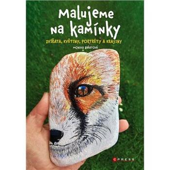 Malujeme na kamínky (978-80-264-4677-4)