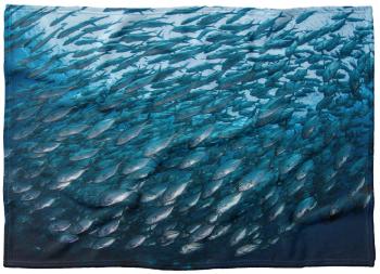 IMPAR Fleecová deka Hejno ryb 150x120 cm (Rozměr : 150 x 120 cm, Podšití beránkem: NE)
