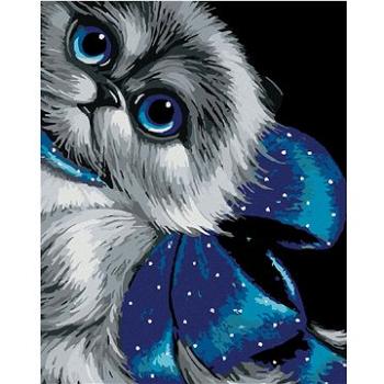 Malování podle čísel - Modrooké kotě s mašlí (HRAmal01023nad)