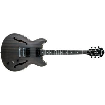 Ibanez AS53 barva TKF (Transparent Black Flat)