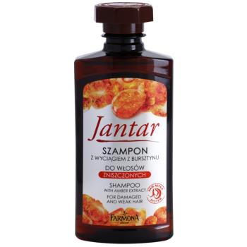 Farmona Jantar šampon pro oslabené a poškozené vlasy 330 ml