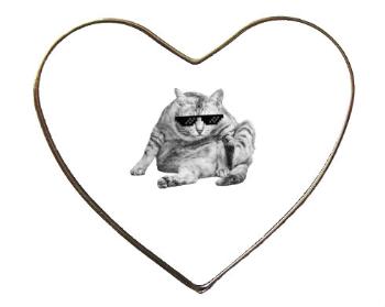 Magnet srdce kov Drsná kočka