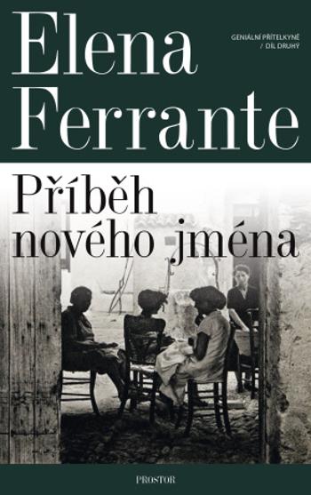 Geniální přítelkyně: Příběh nového jména - Elena Ferrante - e-kniha