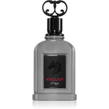 Zimaya Stallion parfémovaná voda pro muže 100 ml