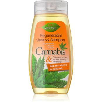 Bione Cosmetics Cannabis regenerační šampon 260 ml
