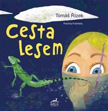 Cesta lesem - Krámská Pavlína