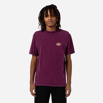 Dickies Icon Washed Tee DK0A4Y1RC95