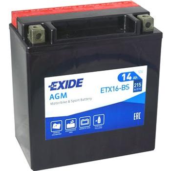 EXIDE ETX16-BS, 12V, 14Ah, 215A (ETX16-BS)