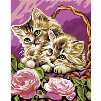 Malování podle čísel - Koťata v košíku a růžové růže (HRAmal01000nad)