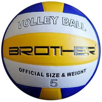 BROTHER VS501S BROTHER VOLLEY TRAINING (04-VS501S)