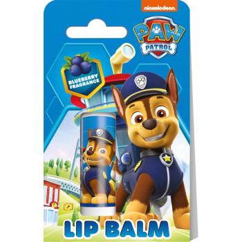 Nickelodeon Paw Patrol Lip Balm balzám na rty pro děti Blueberry 4,4 g