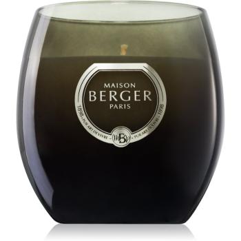 Maison Berger Paris Holly Amber Powder vonná svíčka 200 g