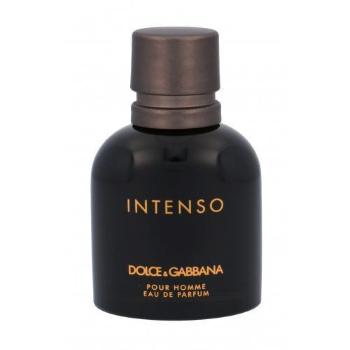 Dolce&Gabbana Pour Homme Intenso 40 ml parfémovaná voda pro muže