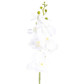 Umělá Orchidej čistě bílá, 86 cm