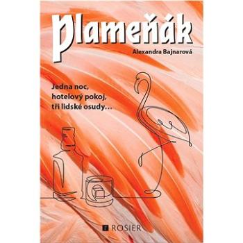 Plameňák: Jedna noc, hotelový pokoj, tři lidské osudy (978-80-88467-13-7)